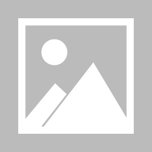 COC玉环站圆满收官 各组别精彩对决尽显实力|车队|车队|玉环站|coc|玉环_手机新浪网