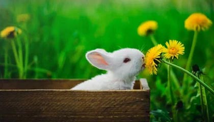 7M体育app-兄弟们，这波四杀细不细节