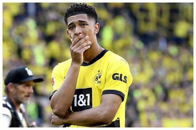 1685315977608053543.jpg fca2a7837a5869ba43a067604a8bc5f.jpg